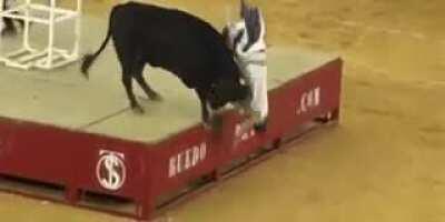 Bull has perfect timing