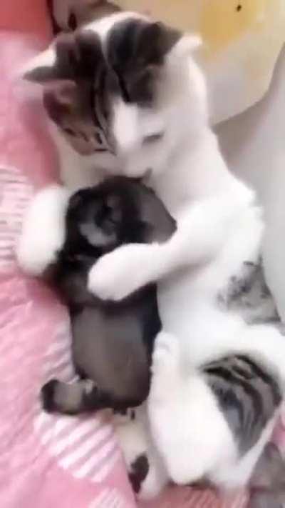 Mom and Baby