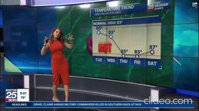 Shiri Spear Boston Fox 25 4 weather walks and FB Live 7/16/2024