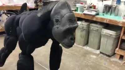 A realistic gorilla suit build