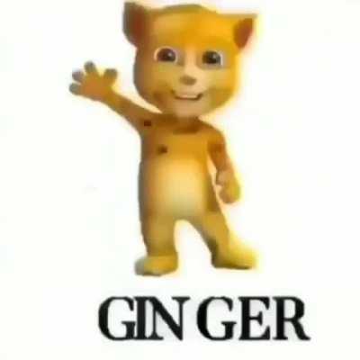 ginger