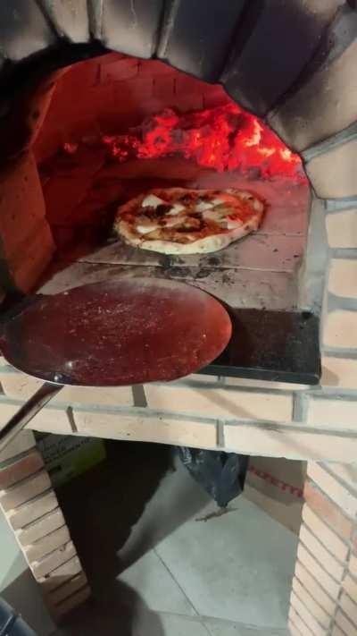 First time making Neapolitan pizza. LMFAO 