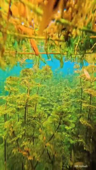There are magnificent beauties in nature that we cannot see
