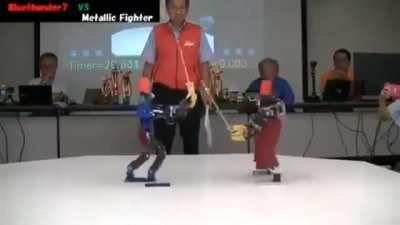 Remote controlled samurai battle bots