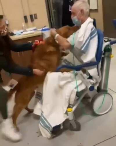 Good boy is so excited to see his owner is ok