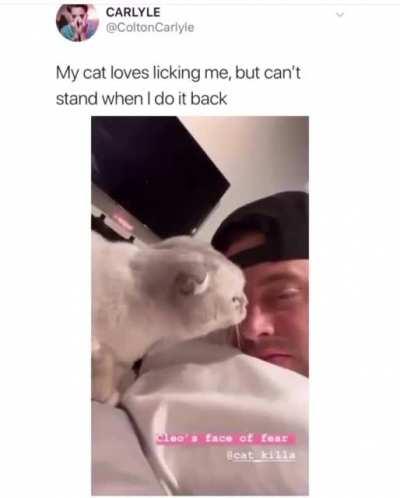 To lick a cat