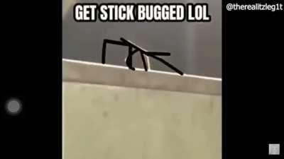 Get stick bugged lol