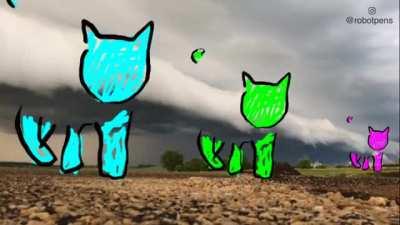 Storm cat is coming...