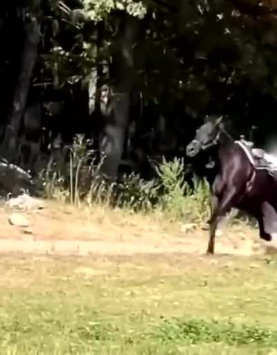 A cowboy's last wish was to ride his favorite horse for the one last times