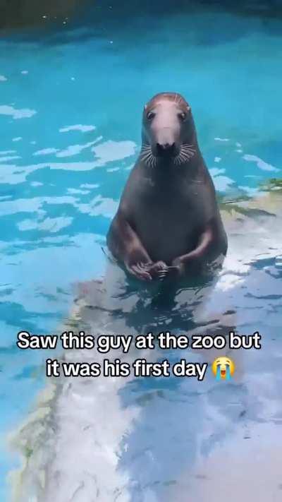 His first day at the Zoo