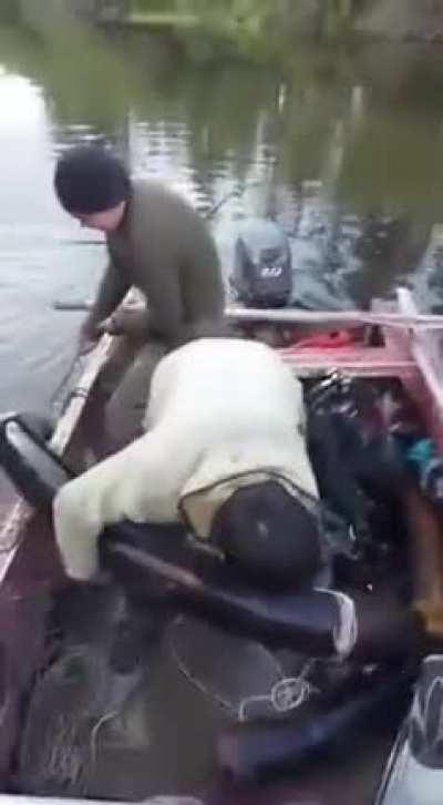 Yakut fishermen found a mammoth tusk in the river, it probably appeared there from the thawed permafrost. The tusk weighs about 50 kg.