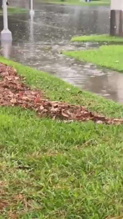 Flooded Neighborhood