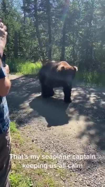 A close up with a grizzly in Alaska