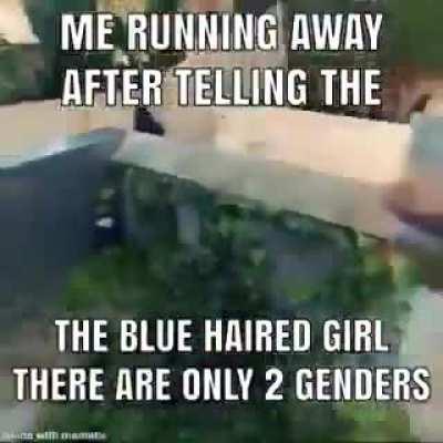 2 genders