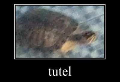 tutel?