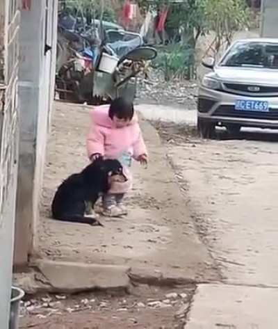 This little girl covers her dog's ears so he won't be afraid of fireworks.
