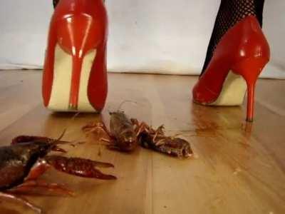 CPDG Ice crushing crawdads with her red pumps (impaling with both heels)