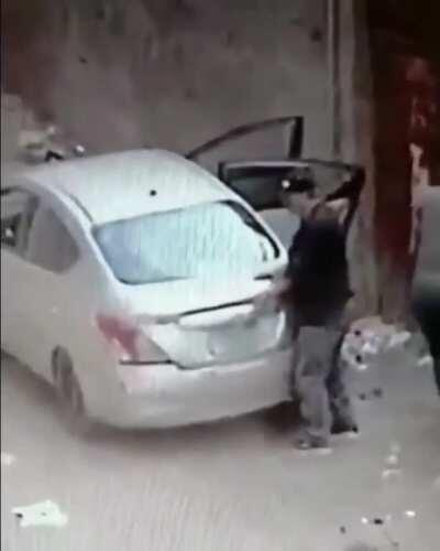 ðŸ”¥ Livestock Thieves in Egypt : IdiotsInCars || [dd] redd....