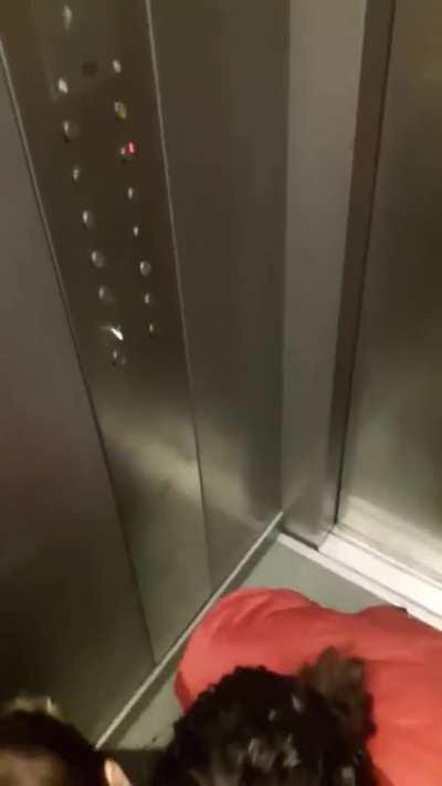 3 Sluts In An Elevator