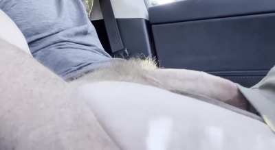 My next passenger came before I had a chance to even start stroking my cock in my Uber