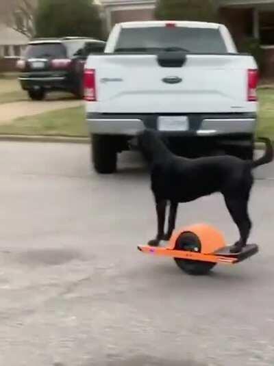 he was a skater boy, he said see you later boy