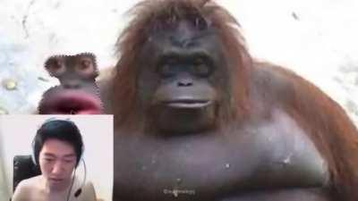 Monke unmasked (sad)