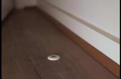 Flush Magnetic Door-stopper