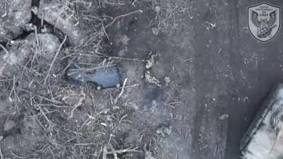 Continuation footage. After their armor was destroyed, Russian infantry left behind in the trenches. They were destroyed from above.
