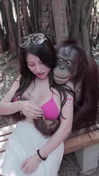 Monkey grabs boobs