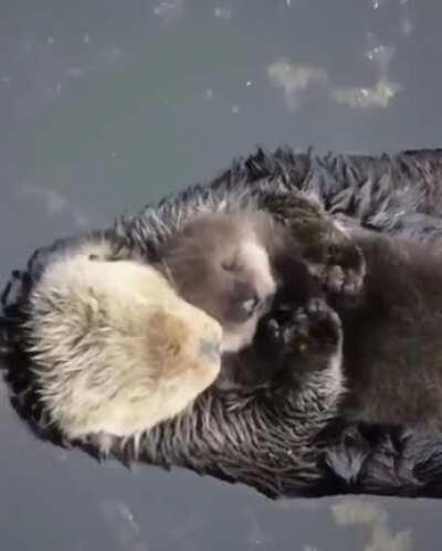 The love and Affection on this mom and her baby's face is too adorable.........