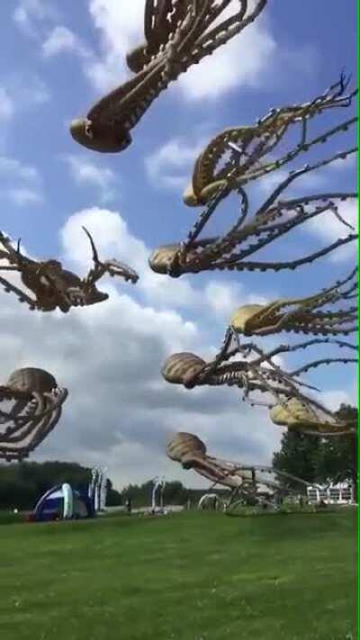 These octopus kites are absolutely incredible