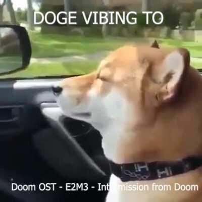 Doge is enjoying a tune