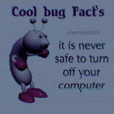 Cool’s Bug Fact