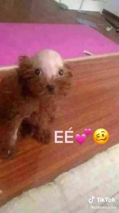 EÉ