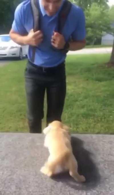 A pupper adorably welcoming home their best friend