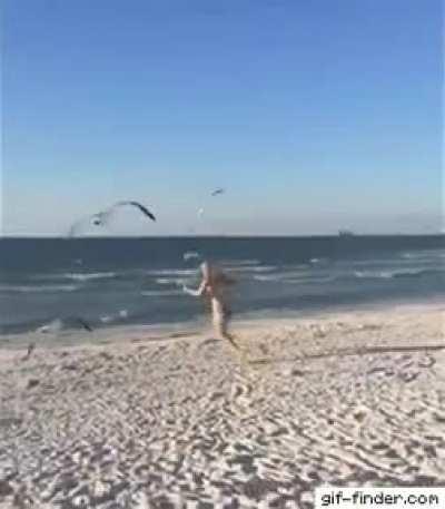 She wanted to feed the seagulls