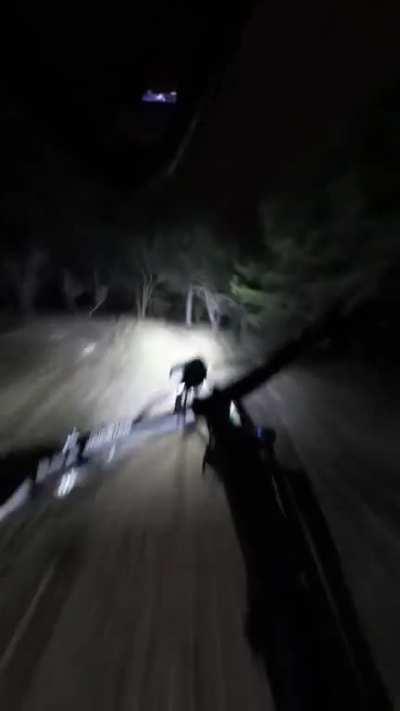 Driving thru forest at night, very fast. 