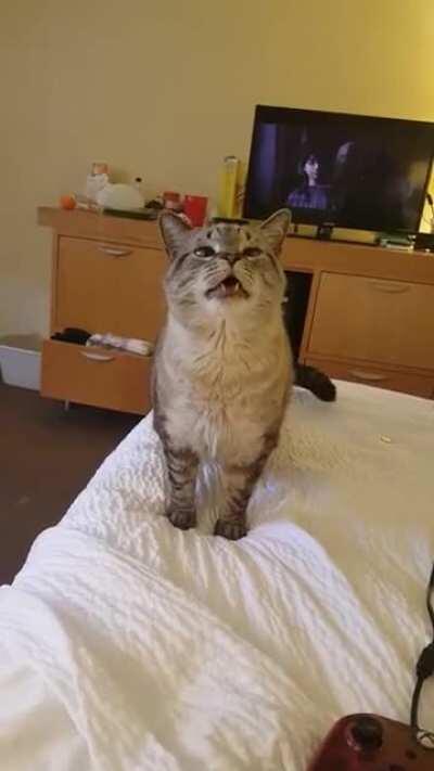 Sneeze incoming!