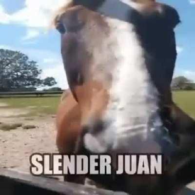 Slender juan