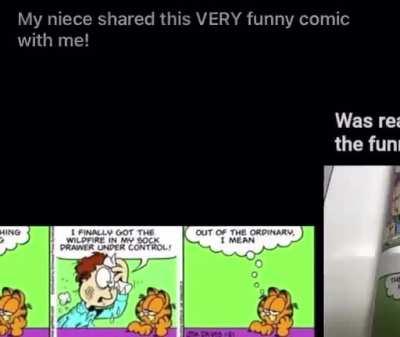 🤣Garfield 🤣so funny 🤣