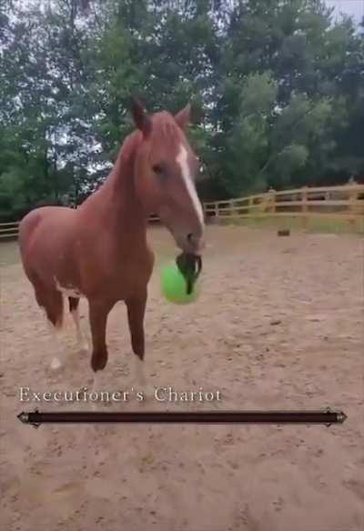 Ｃ－Ｃａｖａｌｏ？MonkaW