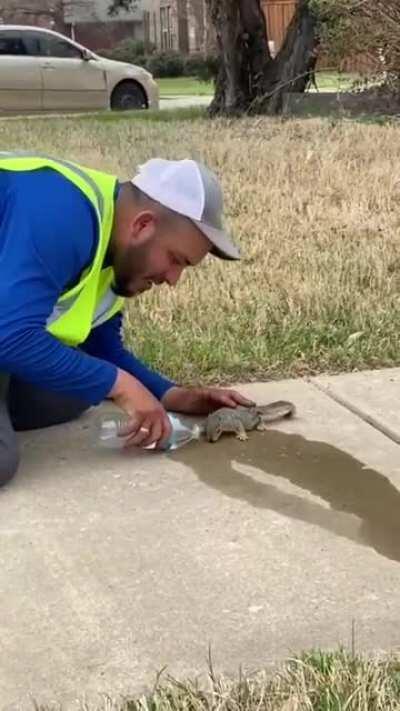 Giving a thirsty squirrel some water