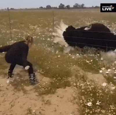 Little girl finds an ostrich friend