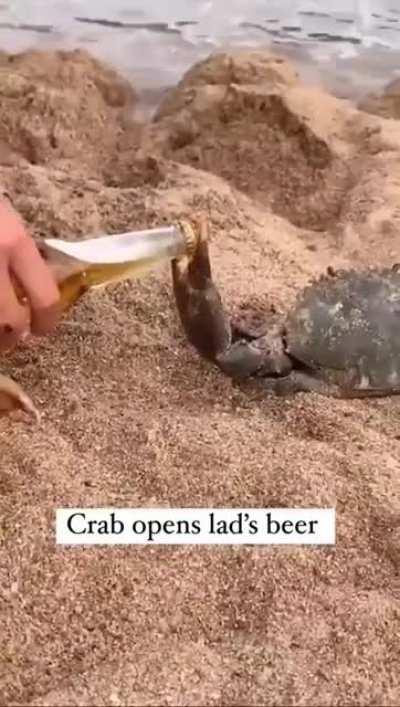 Crab