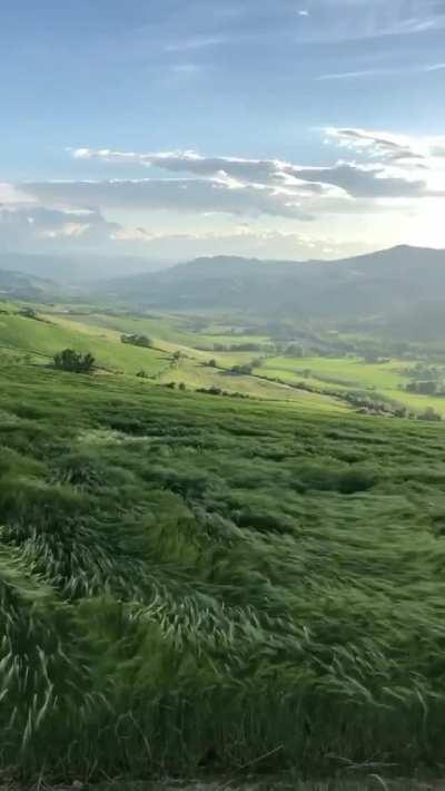 Grassy hills near Bologna, Italy