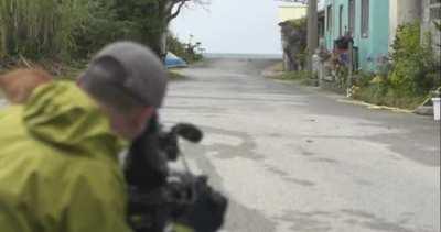 Kitten makes friends with cameraman