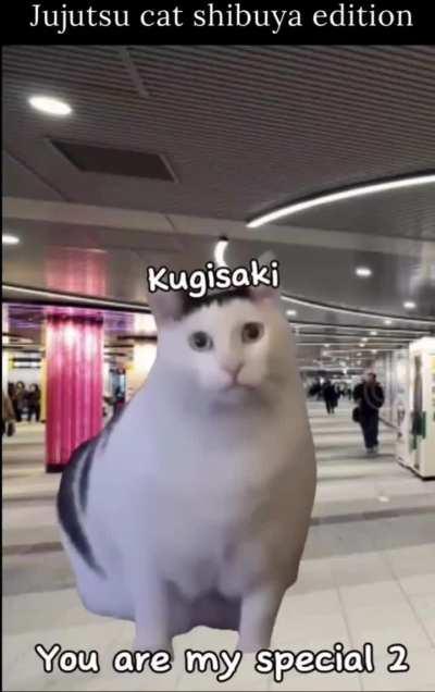 Shibuya cat edition 