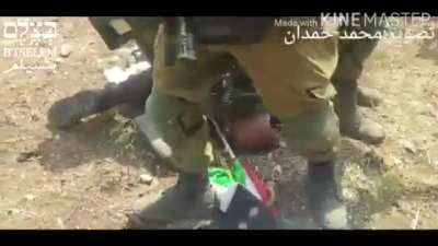 IDF clash with Palestinian protestor