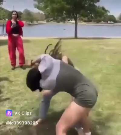 Girl fight ends with the loser getting twerked on