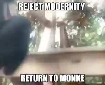 Return to monke